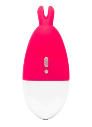 knicker vibrator